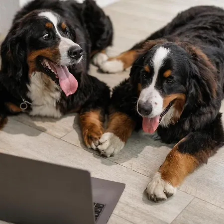 Petit Palace Tamarises Getxo