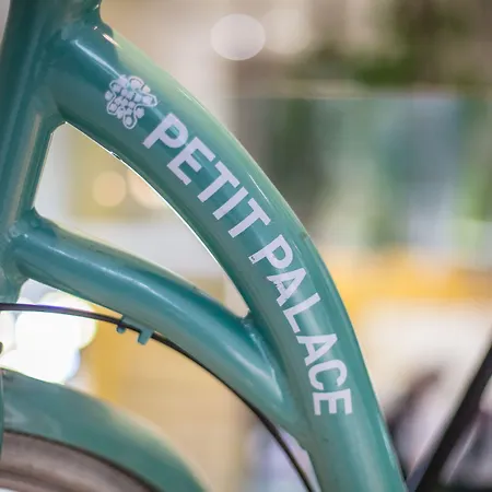 Petit Palace Tamarises Hotel