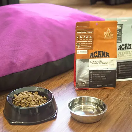 Hotel Petit Palace Tamarises