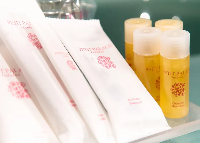 Petit Palace Tamarises Hotel