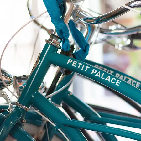 Petit Palace Tamarises Hotel 3*