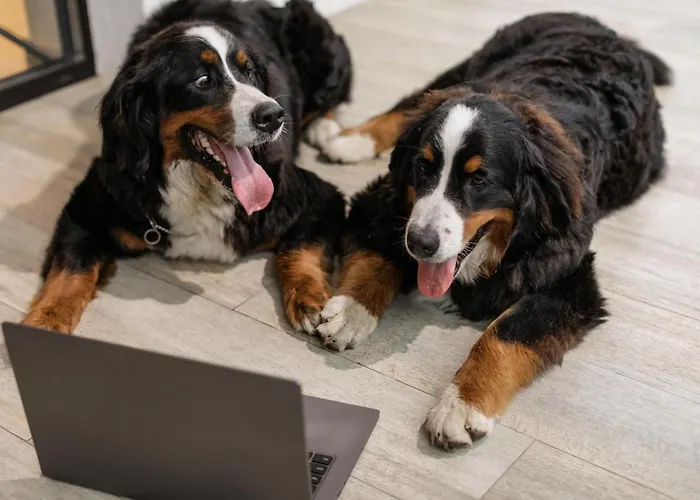 Petit Palace Tamarises Getxo