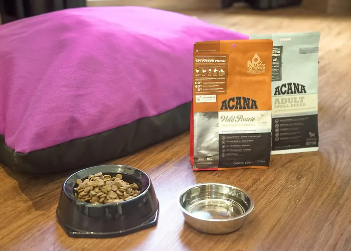 Hotel Petit Palace Tamarises