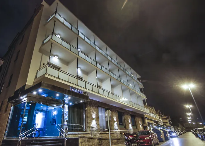 Petit Palace Tamarises Hotel