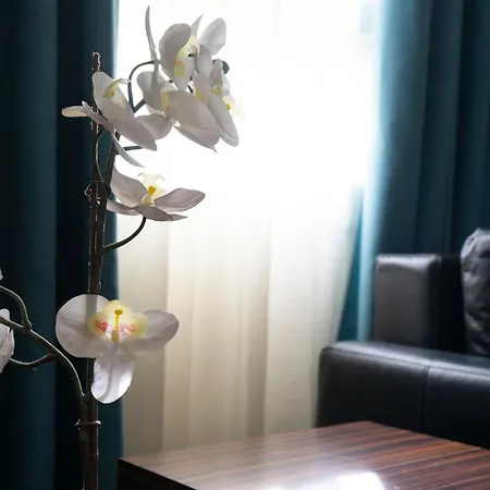 Petit Palace Tamarises 3*