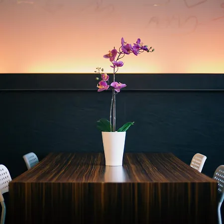 Petit Palace Tamarises Hotel Getxo